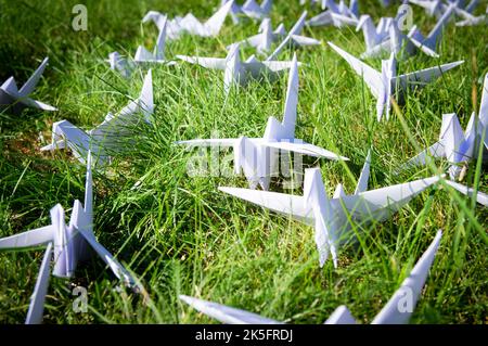 Japanese folded Origami cranes on fresh grass. Hundreds handmade paper birds on green field with copy space. 1000 thousand crane tsuru sculpture topic. Symbol of peace, faith, health, wishes and hope  Stock Photo