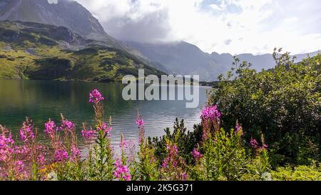 Beautiful landscape between Polish mountains with a small mountain lake with purple pink flowers and green trees Stock Photo