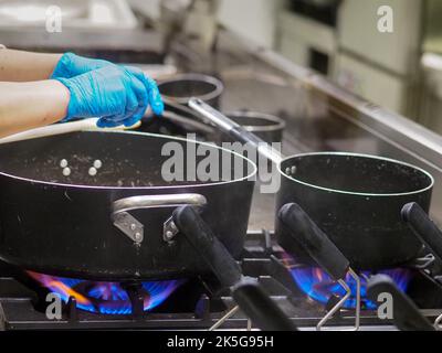 chef at work in hotel industrial. kitchen Stock Photo