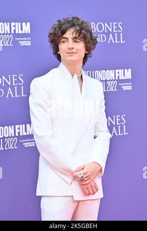 London, UK. 08th Oct, 2022. Timothée Chalamet arrive at the Bones and All - World Premiere of the BFI London Film Festival’s 2022 on 8th October 2022 at the South Bank, Royal Festival Hall, London, UK. Credit: See Li/Picture Capital/Alamy Live News Stock Photo