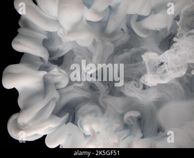 Abstract fluid acrylic painting. Marbled white abstract Ink cloud on black background. Liquid marble pattern. Modern art.  Stock Photo
