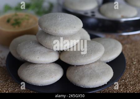 Kodo millet idly. Steamed savory cakes made of kodo millets and lentil flour, served with spiced coconut condiment. Kodo millet is used as healthy mil Stock Photo