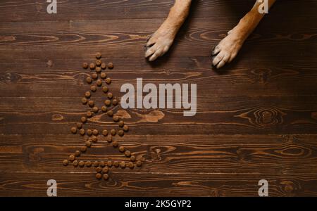 Dog's red paws lying on wooden floor next to dry food laid out in shape of Christmas tree. Top view. View from above. The concept of background for pe Stock Photo
