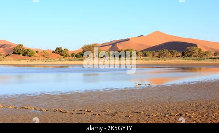 An amazing sight, in the heart of the Namib Desert, is the ephemeral Tsauchab River which filled and now flooded Sossusvlei in March 2022, a salt and Stock Photo