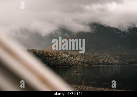 view of the lake from the van with two ducks swimming calmly towards the lonely wooden platform with metal ladder in an environment of plants and Stock Photo