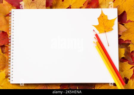 Autumn composition. Open white blank spirale sketchbook and colored pencils on colorful autumn maple fall leaves background. Top view, copy space for Stock Photo
