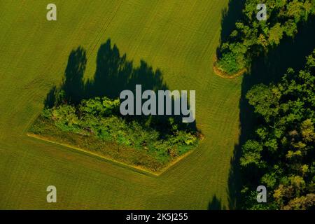 France, Essonne (91), Guillerval, aerial view of a grove of trees on the edge of the Marette valley Stock Photo