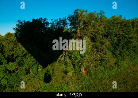 France, Essonne (91), Chalou-Moulineux, aerial view of the shadow of a hot air balloon on the edge of forest Stock Photo