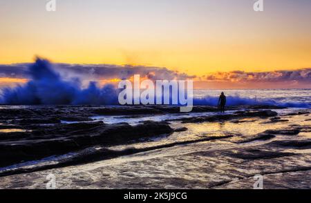 Blurred active surfer stepping to splashing wave on the rocks of Whale beach in Sydney at sunrise. Stock Photo