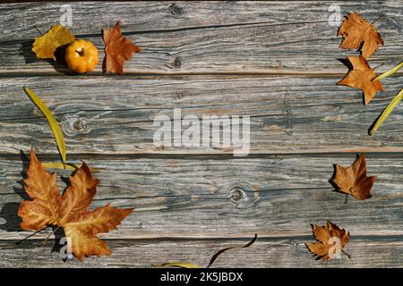 Autumn leaves and small pumpkin on rustic wooden background. Stock Photo