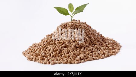 Fresh seedling with green leaves on pile of fuel pellets against white background Stock Photo