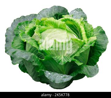 green cabbage head isolated on white background Stock Photo