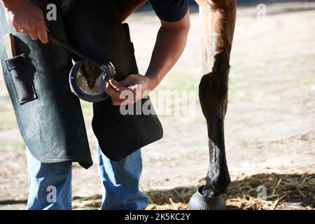 He takes great care when dealing with the horse. A farrier attaching a horseshoe to the bottom of a horses hoof. Stock Photo