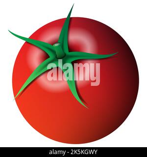 vector illustration of fresh tomato isolated on white background Stock Vector