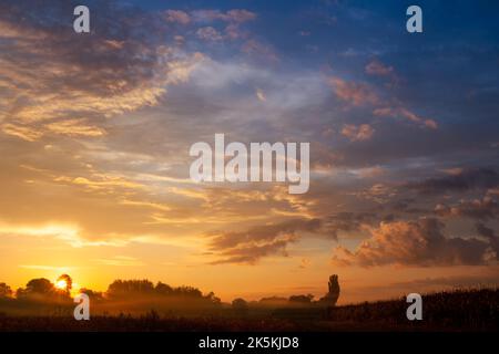Beautiful sunrise from behind the trees in the valley. The morning fog covers the village. Multicolored clouds in the sky. Stock Photo