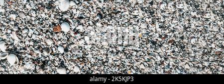BANNER Close-up seashells on beach sand summer day. Abstract ocean background pattern collection Stock Photo