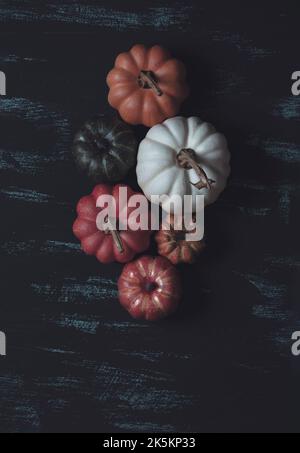 Pumpkin on table different size flat lay Stock Photo