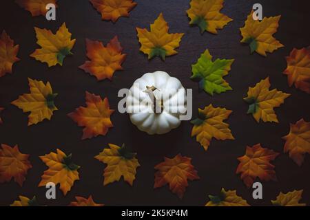 Autumn pumpkin and fall colored leaves. Stock Photo