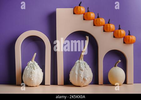 Different types of pumpkins Stock Photo