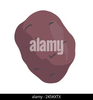 Vector product icon vegetable white potato. Light tubers of potatoes of different shapes and sizes. Potato illustration in flat minimalism style Stock Vector