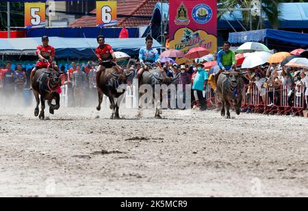 Chonburi, Thailand. 09th Oct, 2022. Jockeys compete in Chonburi's annual buffalo race festival, east of Bangkok. The event, which also celebrates the rice harvest, dates back to the buffalo trade in Chonburi, once the commercial centre of Thailand's east. Credit: SOPA Images Limited/Alamy Live News Stock Photo