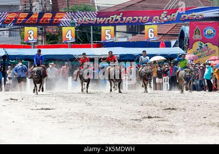 Chonburi, Thailand. 09th Oct, 2022. Jockeys compete in Chonburi's annual buffalo race festival, east of Bangkok. The event, which also celebrates the rice harvest, dates back to the buffalo trade in Chonburi, once the commercial centre of Thailand's east. (Photo by Chaiwat Subprasom/SOPA Images/Sipa USA) Credit: Sipa USA/Alamy Live News Stock Photo
