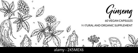 Ginseng horizontal design. Hand drawn botanical vector illustration in sketch style. Can be used for packaging, label, badge. Herbal medicine backgrou Stock Vector