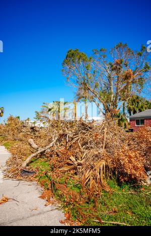 Tree debris from Hurricane Ian Punta Gorda FL Stock Photo