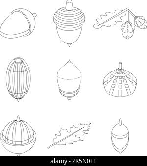 Acorn icons set. Isometric set of acorn vector icons outline thin lne isolated on white Stock Vector