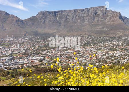 Table Mountain taken in spring, early Ocober 2022. Stock Photo