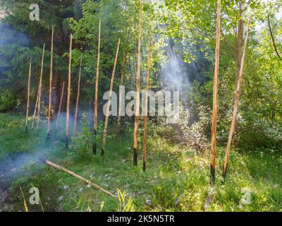 The roundpole fence is a wooden fence typical to the countryside in Sweden, Norway, Finland and Estonia. It is normally made from unbarked and unsplit Stock Photo