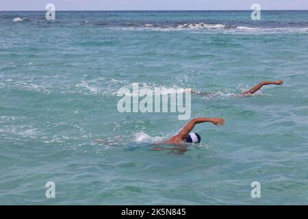 Swimmers in action during the Libya Swimming Competition in Misrata. The event had 75 swimmers and the competition included female participation for the first time in the history of Libya. Stock Photo