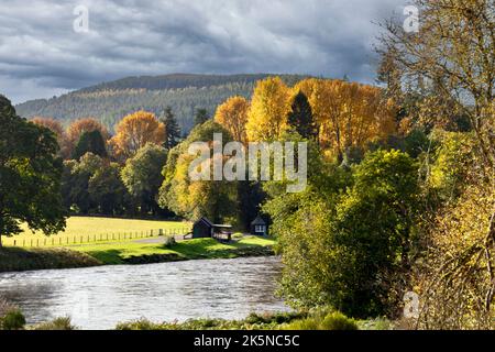 RIVER SPEY SCOTLAND IN AUTUMN WITH TREES AND COLOURFUL ORANGE LEAVES Stock Photo