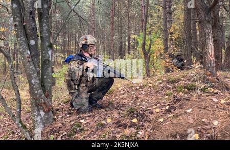 Gaiziunai, Germany. 09th Oct, 2022. Military vehicles of the "Boxer ...
