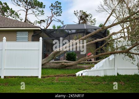 Fallen down big tree caused damage of yard fence after hurricane Ian in Florida. Consequences of natural disaster. Stock Photo