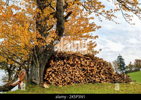 Firewood, wood pile, split logs drying Stock Photo