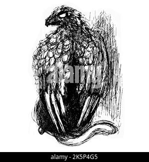 Griffin - the mythical animal half lion half eagle. Black and white expressive illustration made with a feather. Stock Photo