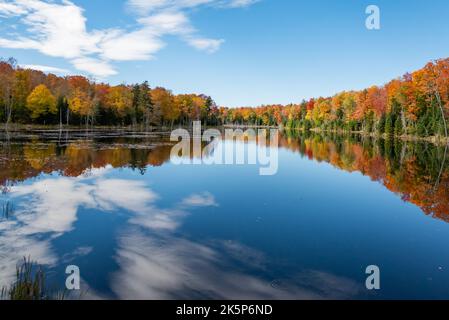 A pond in the Adirondack Mountains, NY USA with colorful autumn fall foliage, blue sky and white clouds reflected in the calm water. Stock Photo