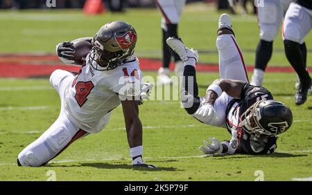 Falcons #20 Corner Back Brent Grimes up high for the ball in the