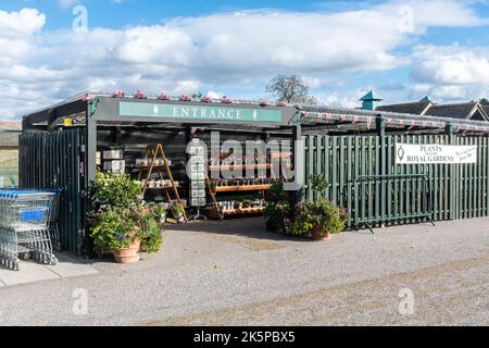 Windsor Farm Shop near Old Windsor, selling produce, food and plants from The Royal Farms and estates, Berkshire, England, UK Stock Photo