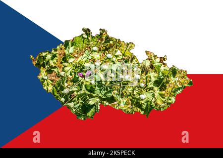 Outline map of the Czech Republic with the image of the national flag. Image of poppy cob inside card. Collage. The Czech Republic is a major poppy pr Stock Photo