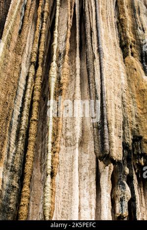 Hierve el Agua, Oaxaca Stock Photo