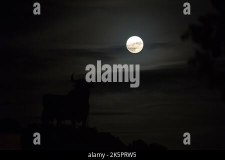 The full moon or 'Hunter's moon' is seen rising over a billboard-size figure of a bull, known as the 'Osborne Bull' in Fuengirola, near Malaga. During the Hunter's Moon, the first autumn full moon, is well-known as Hunter Moon because of its suitability during the hunting season. When the moon appears more large and orange than usual over the horizon. Stock Photo