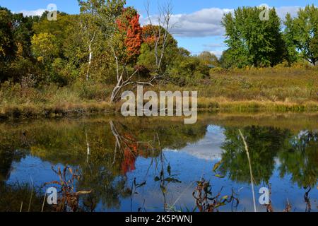 Autumn colors reflecting on a small pond on a warm sunny Autumn day in Southwestern WI Stock Photo