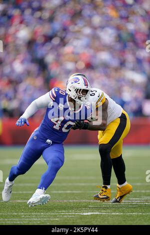 Rams bills hi-res stock photography and images - Alamy