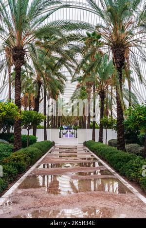 Umbracle Gardens , City of Arts and Sciences in Valencia, Spain, Europe Stock Photo