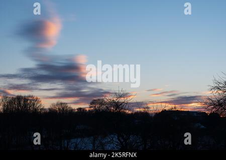 Blue sky after sunset. Branches of trees without leaves in winter. Stock Photo