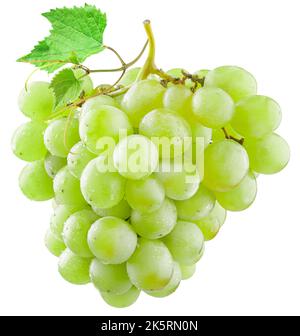Bunch of green (yellow) grapes with a grape leaf isolated on a white background. There is a clipping path. Stock Photo