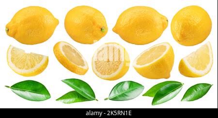 Set of ripe lemon fruits, lemon leaves and variety of lemon slices on white background. File contains clipping paths. Stock Photo