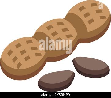 Peanut icon isometric vector. Dry nut. Organic snack Stock Vector